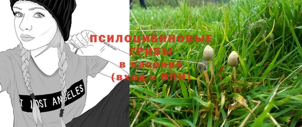 хмурый Балахна