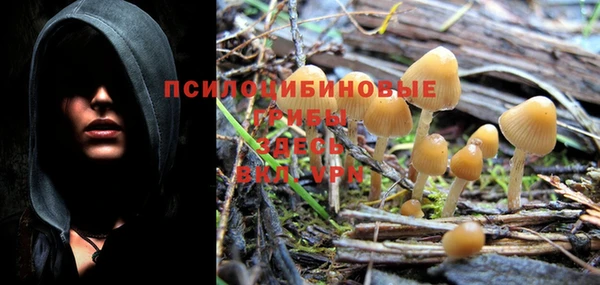 хмурый Балахна